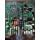 DBA26800AY5 OTIS लिफ्ट GECB-AP मेनबोर्ड